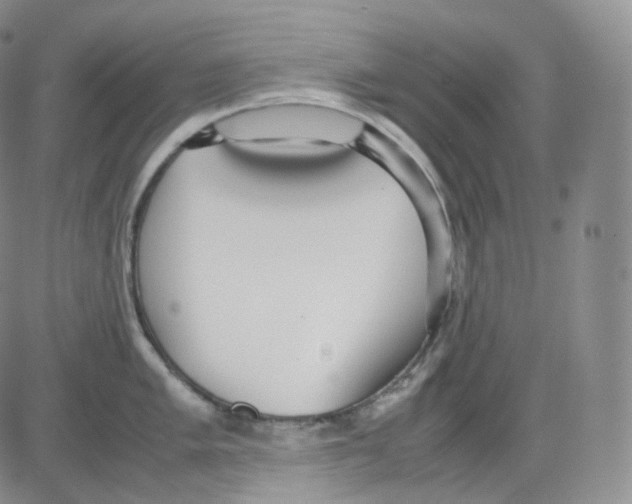 X0000082701005200702232225