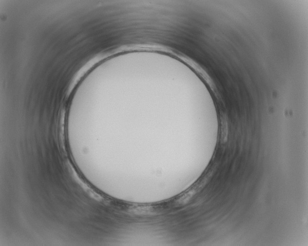 X0000082701006200702232225