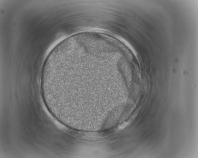 X0000082701007200702232225