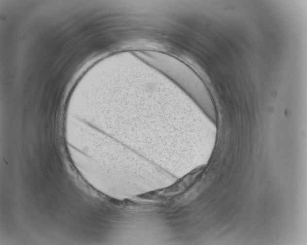 X0000082701008200702232225