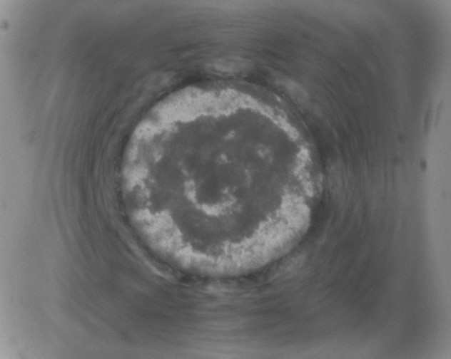 X0000082701009200702232224