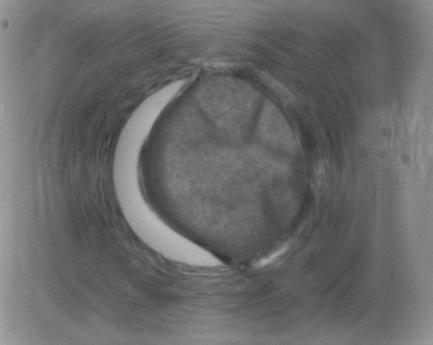 X0000082701010200702232224