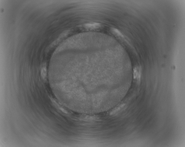 X0000082701011200702232224