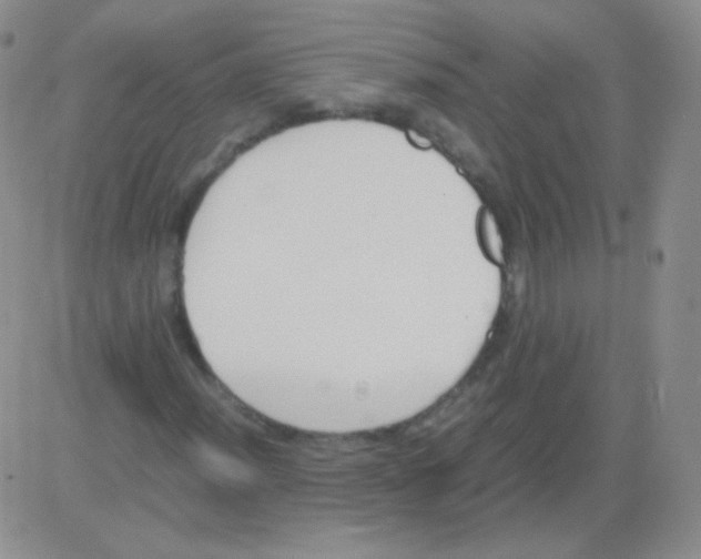 X0000082701012200702232224