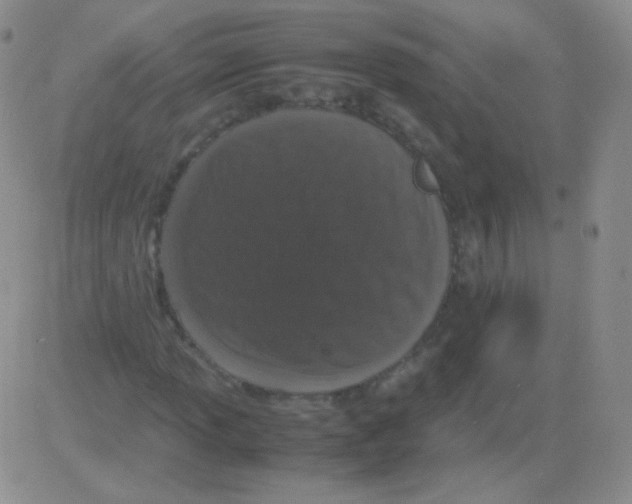 X0000082701013200702232224