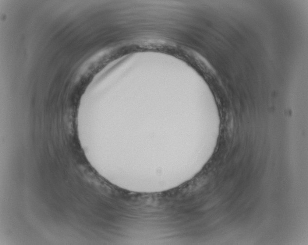 X0000082701016200702232225