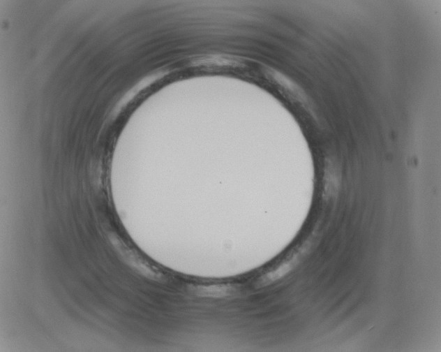 X0000082701017200702232225