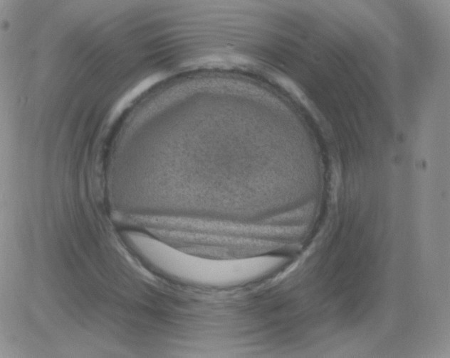 X0000082701018200702232225