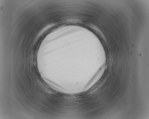 X0000082701019200702232225