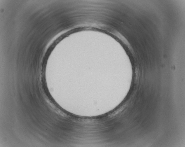 X0000082701020200702232225