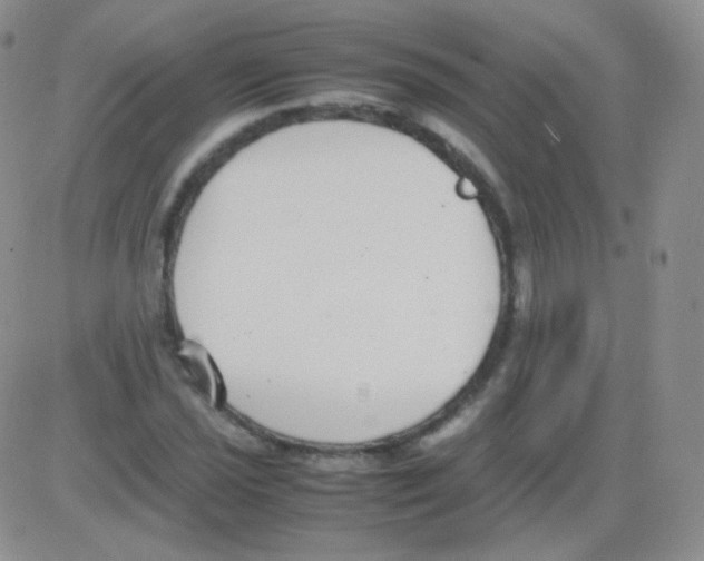 X0000082701021200702232225