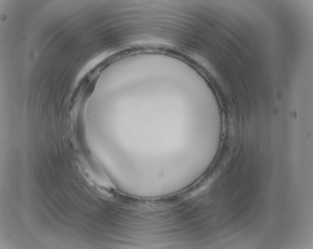 X0000082701022200702232225