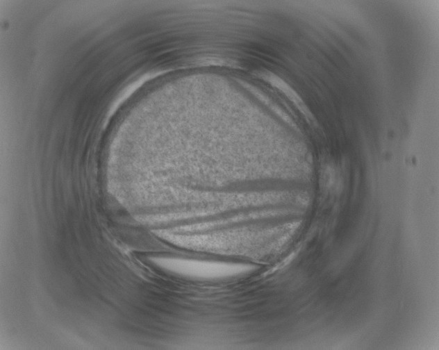 X0000082701023200702232225