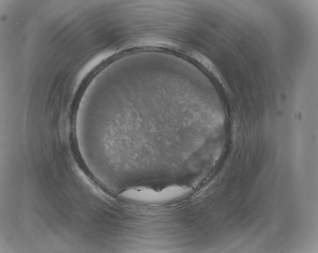 X0000082701024200702232225