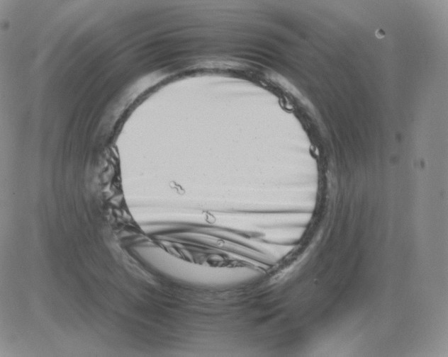 X0000082701025200702232225