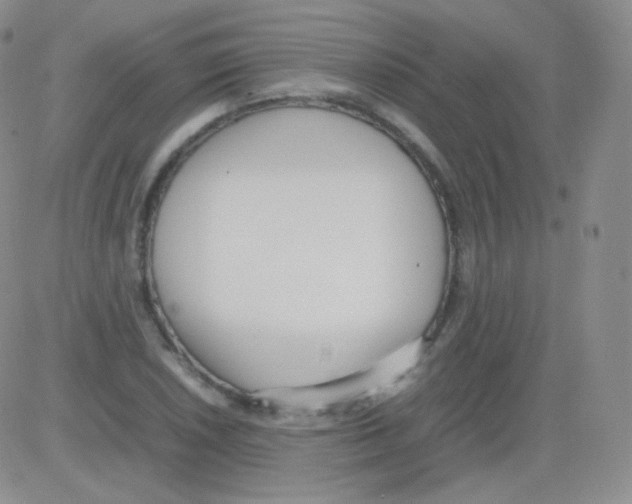 X0000082701026200702232225