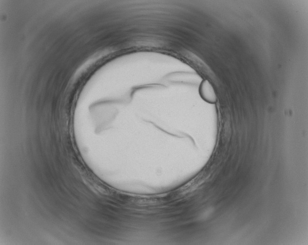 X0000082701027200702232225