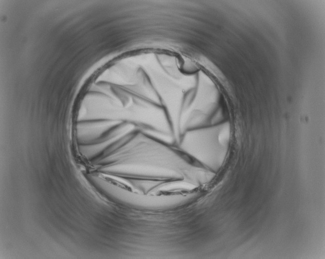 X0000082701028200702232225