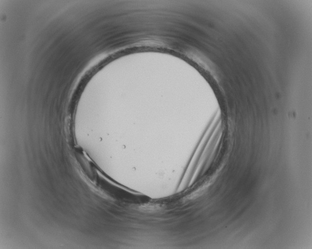 X0000082701029200702232225