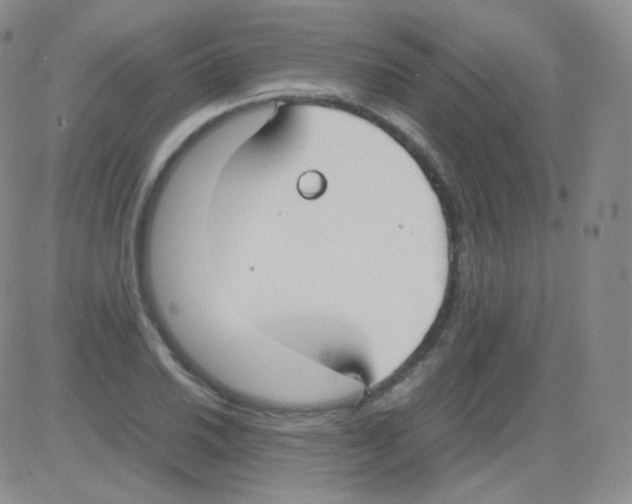 X0000082701030200702232225