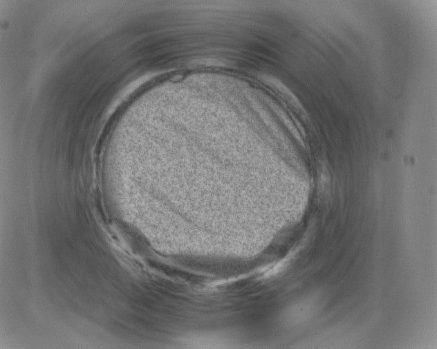 X0000082701031200702232225