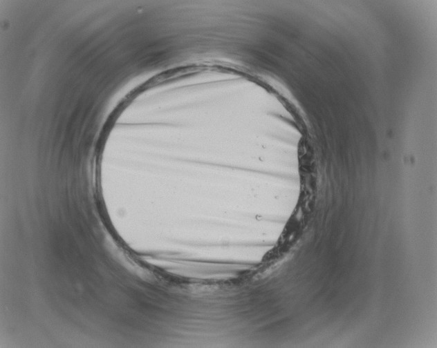 X0000082701032200702232225