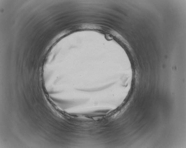 X0000082701033200702232225