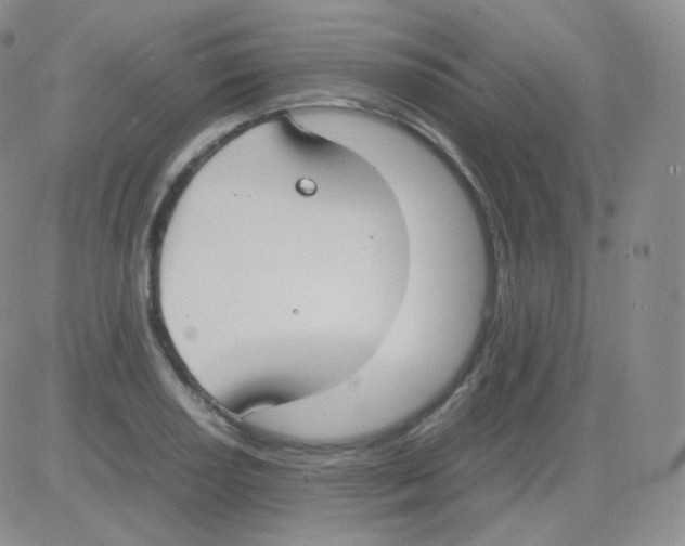 X0000082701034200702232225