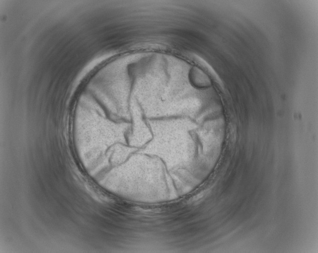 X0000082701035200702232225