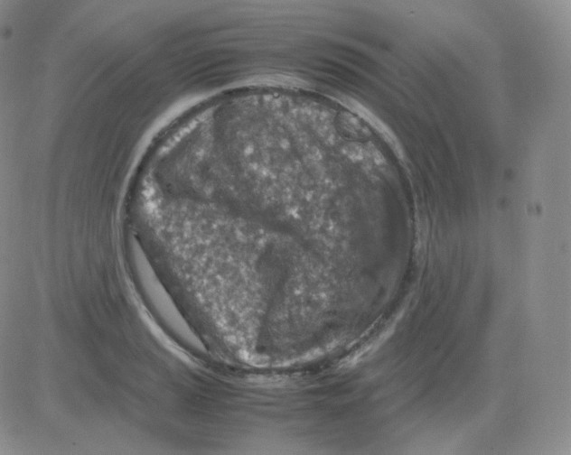 X0000082701037200702232225