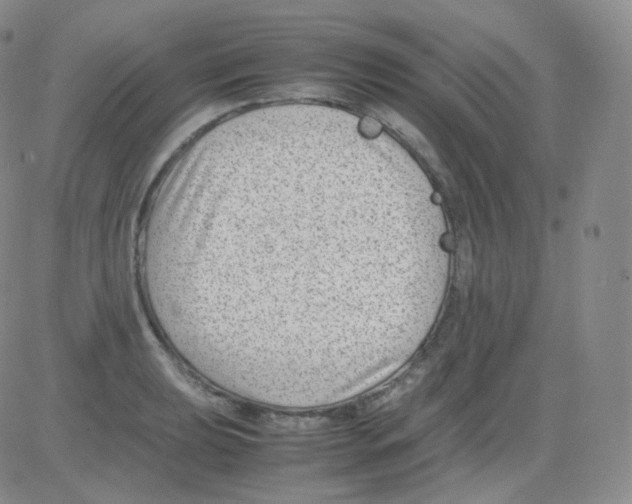 X0000082701039200702232225