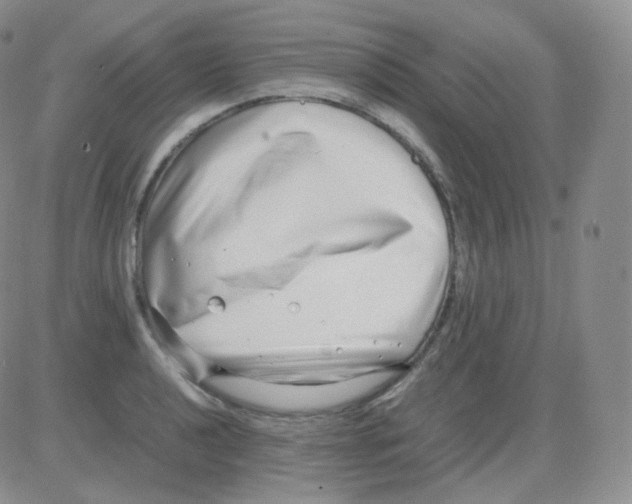 X0000082701040200702232225