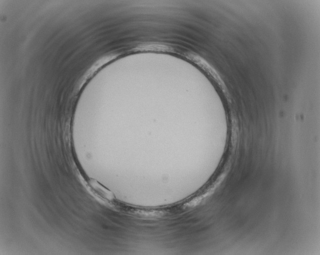 X0000082701041200702232225