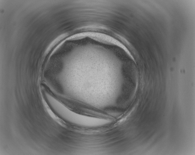 X0000082701042200702232225