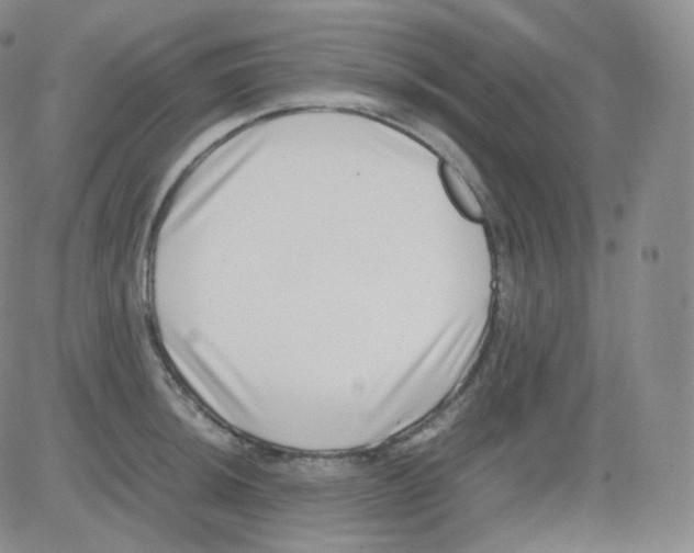 X0000082701044200702232225