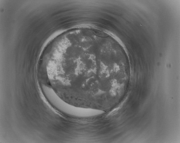 X0000082701045200702232225