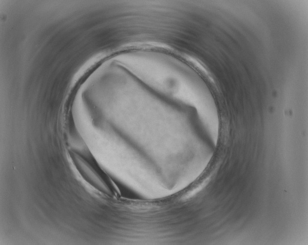 X0000082701046200702232225