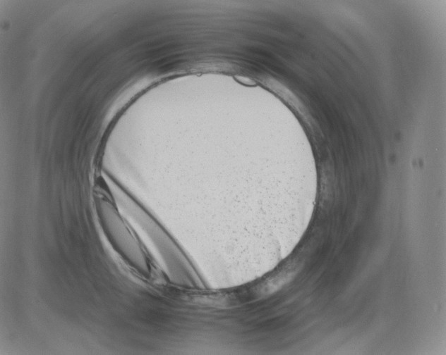 X0000082701047200702232225