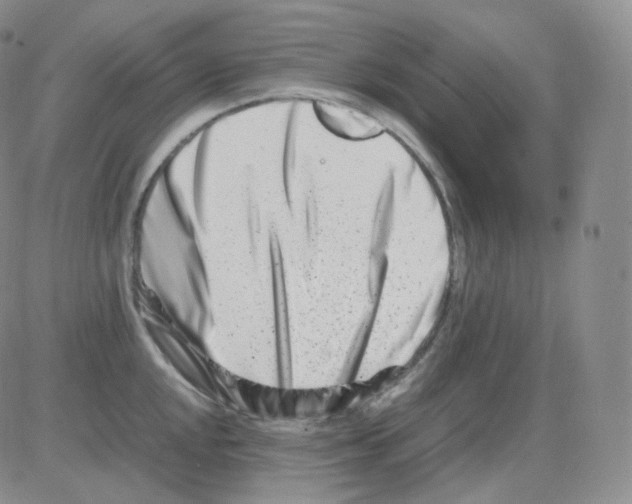 X0000082701048200702232225