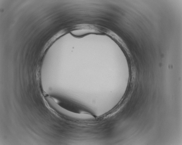 X0000082701049200702232225