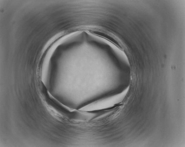 X0000082701050200702232225