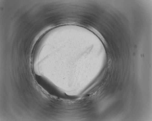 X0000082701051200702232225