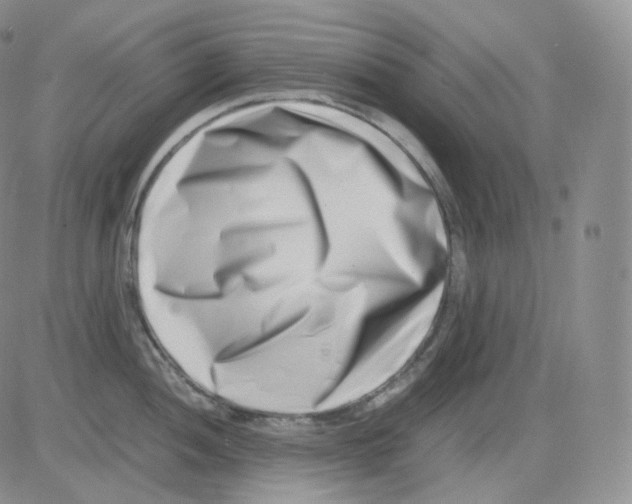 X0000082701052200702232225