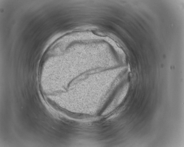 X0000082701055200702232225