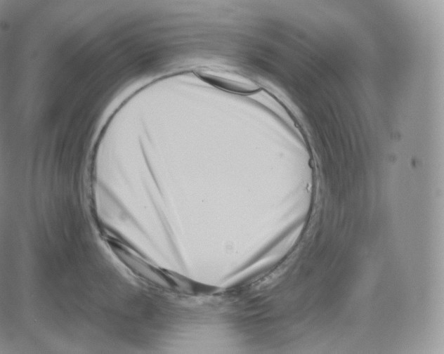 X0000082701056200702232225