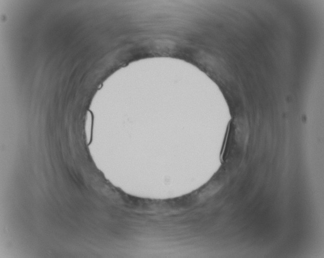 X0000082701057200702232224