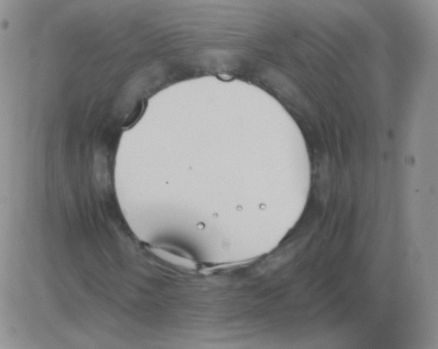 X0000082701058200702232224