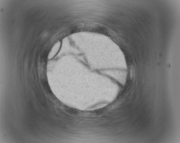 X0000082701059200702232224