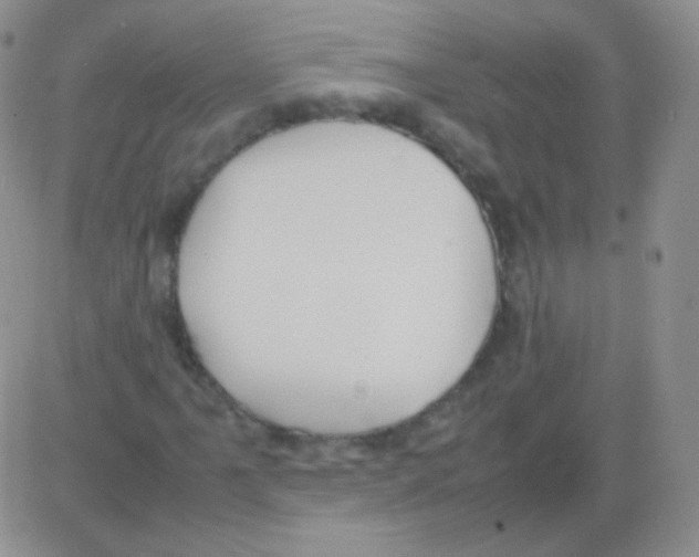 X0000082701061200702232224