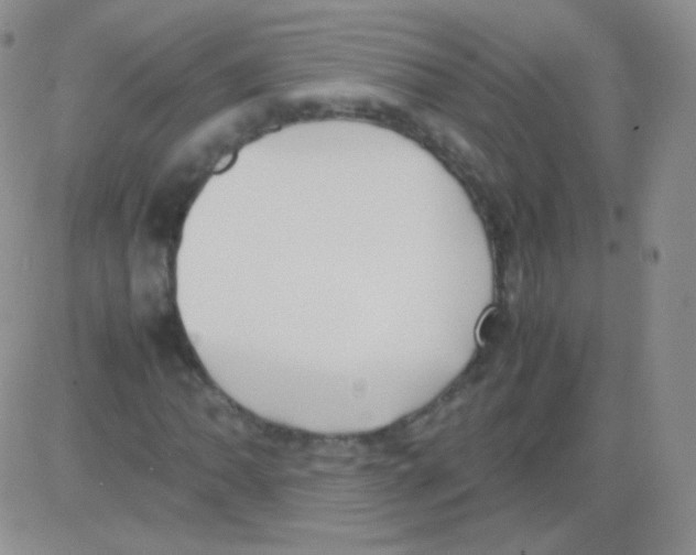 X0000082701062200702232224